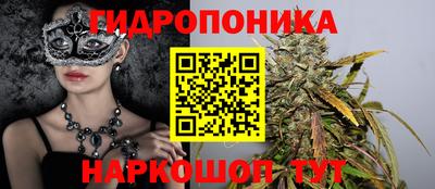прущие крисы Краснознаменск