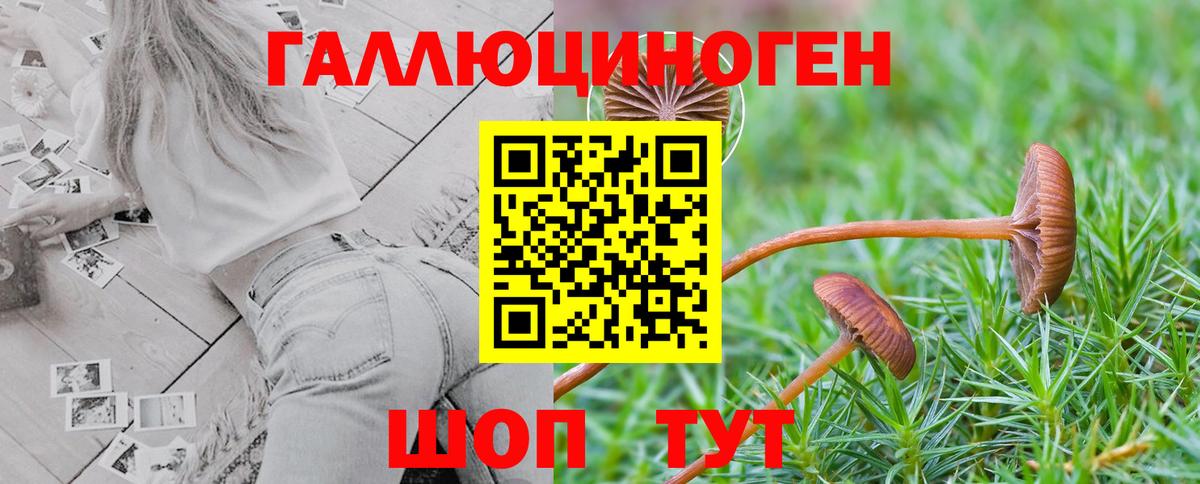 как найти   Вход с VPN  Ирбит  Псилоцибиновые грибы Cubensis 